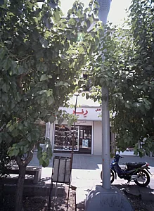 کفش رنر