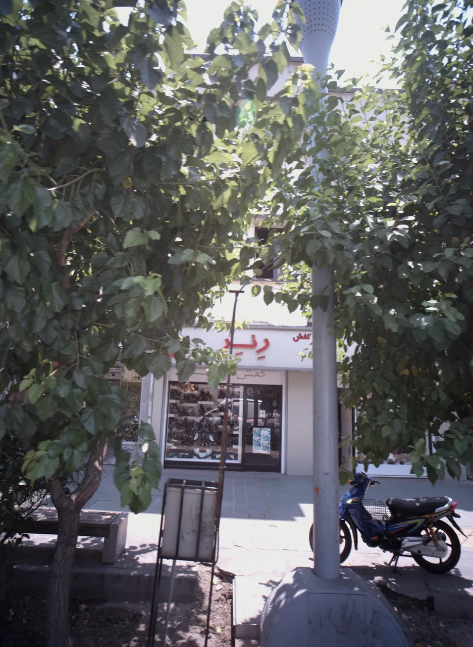 کفش رنر