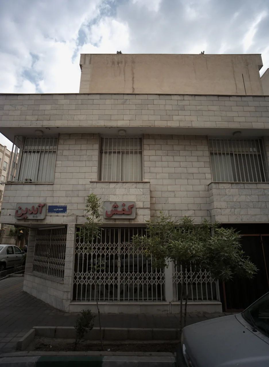 کفش آیدین