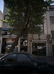کفش فروشی