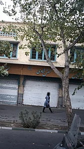 کفش شادی