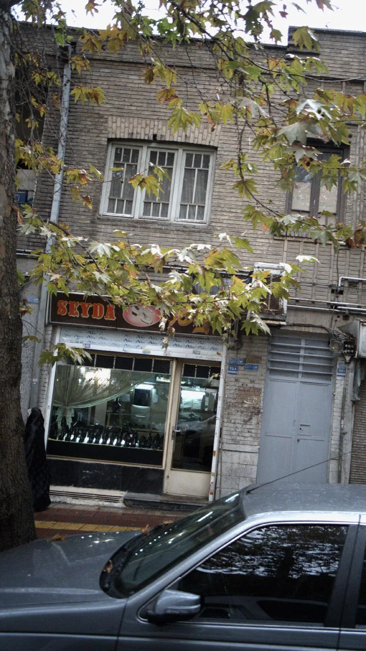 سیدا
