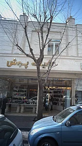کفش شیک پوش