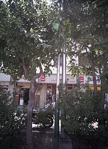 کفش فروشی ایران شهر