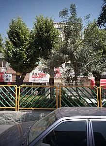 رادیولوژی وسونوگرافی