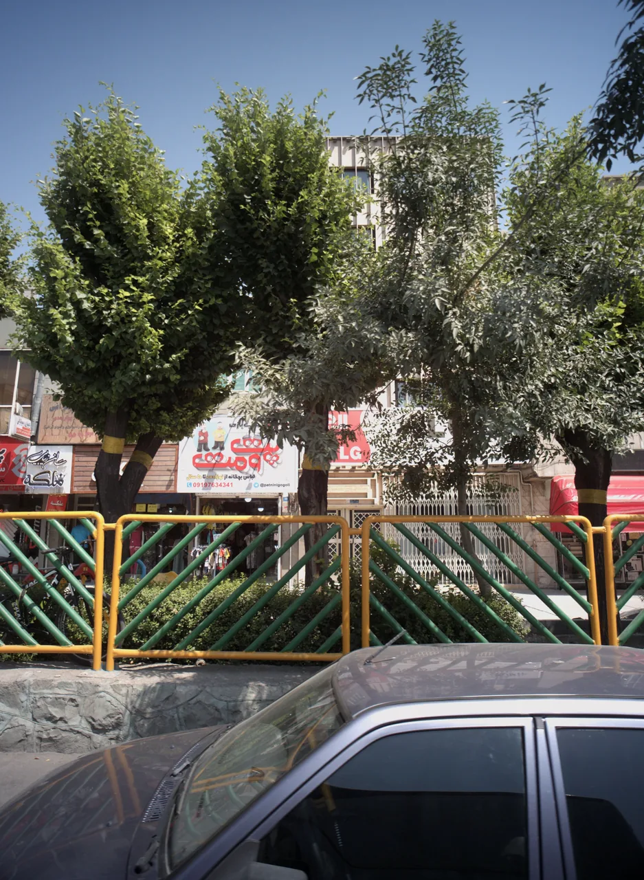 رادیولوژی وسونوگرافی