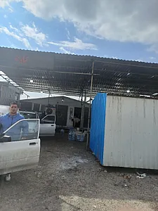 پخش قارچ سوگند