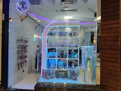 راحیل سها
