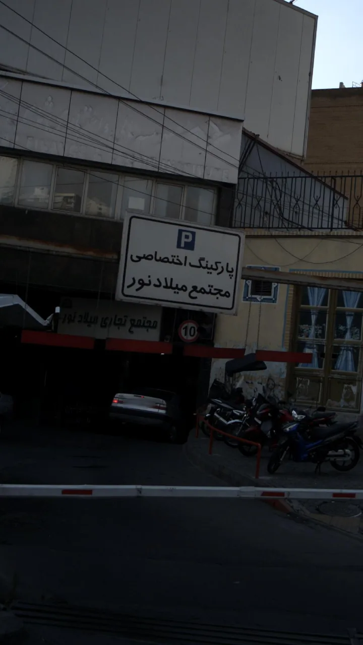 میلاد نور - تصویر 4