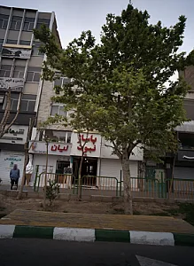 مرکز خرید نبوت