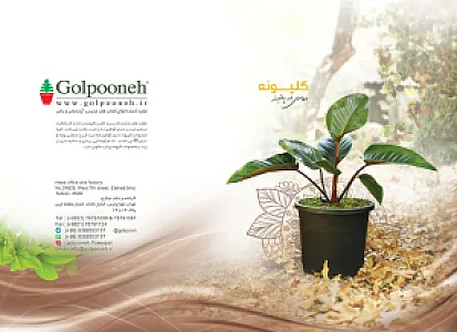 شرکت گلپونه