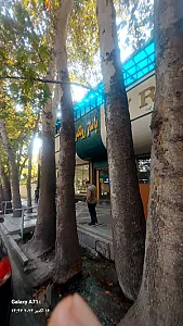 مرکز خرید مریم