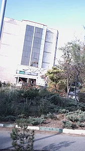 مجتمع تجاری ایرانیان