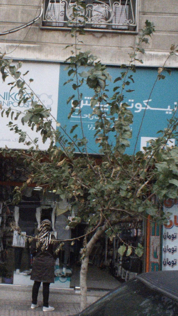 نیکو تن پوش - تصویر 2