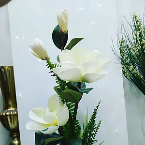 پاساژ ایرانیان ۲