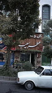 گل و گیاه عطر سیب