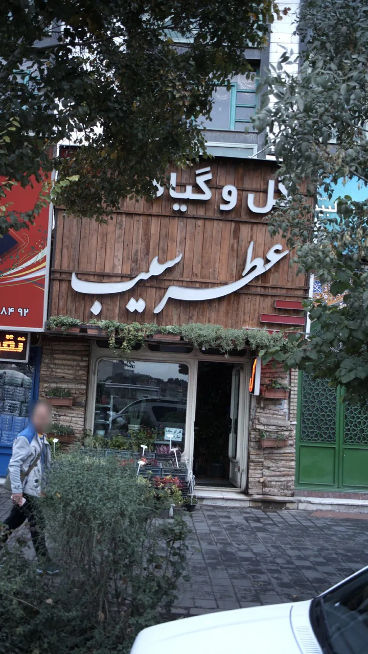 گل و گیاه عطر سیب - تصویر 2