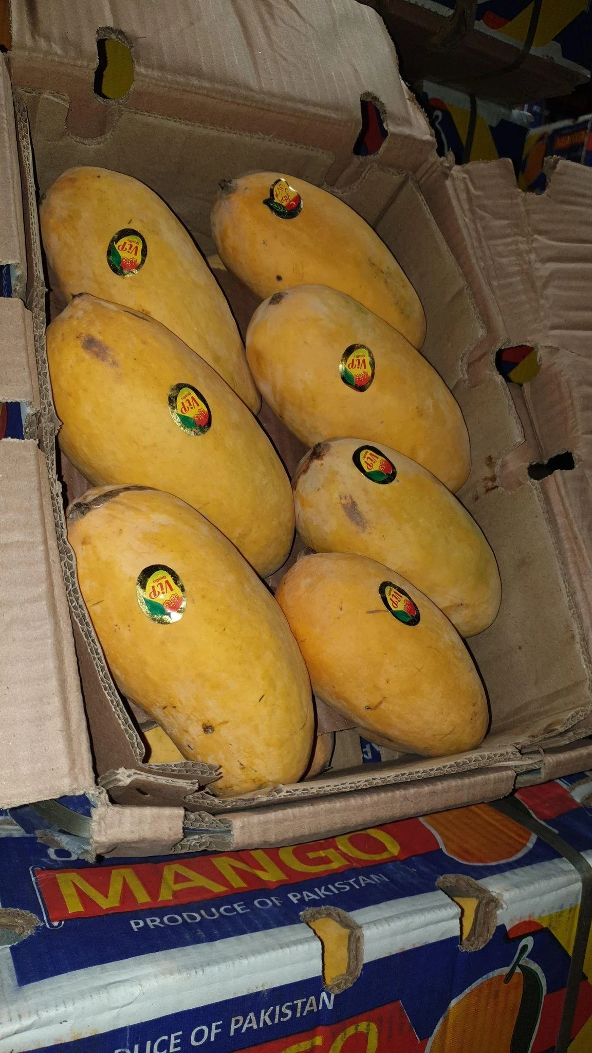 فاز یک سالن12حجره 2حسن طالبی
