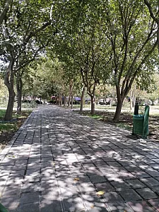 سه شنبه بازار