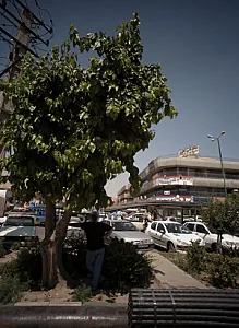 مجتمع تجاری 12شهریور