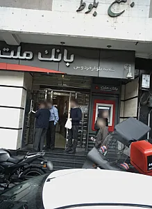 مجتمع بلوط