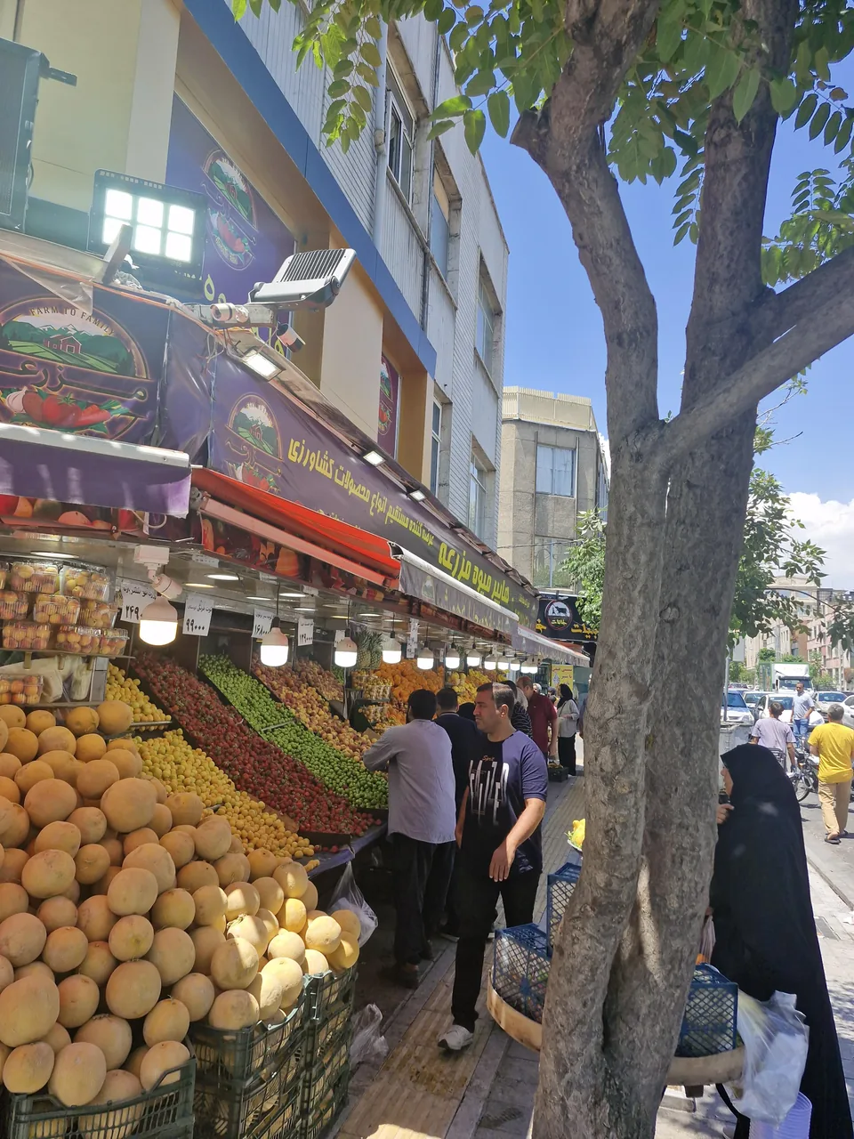 هایپر مزرعه - تصویر 2