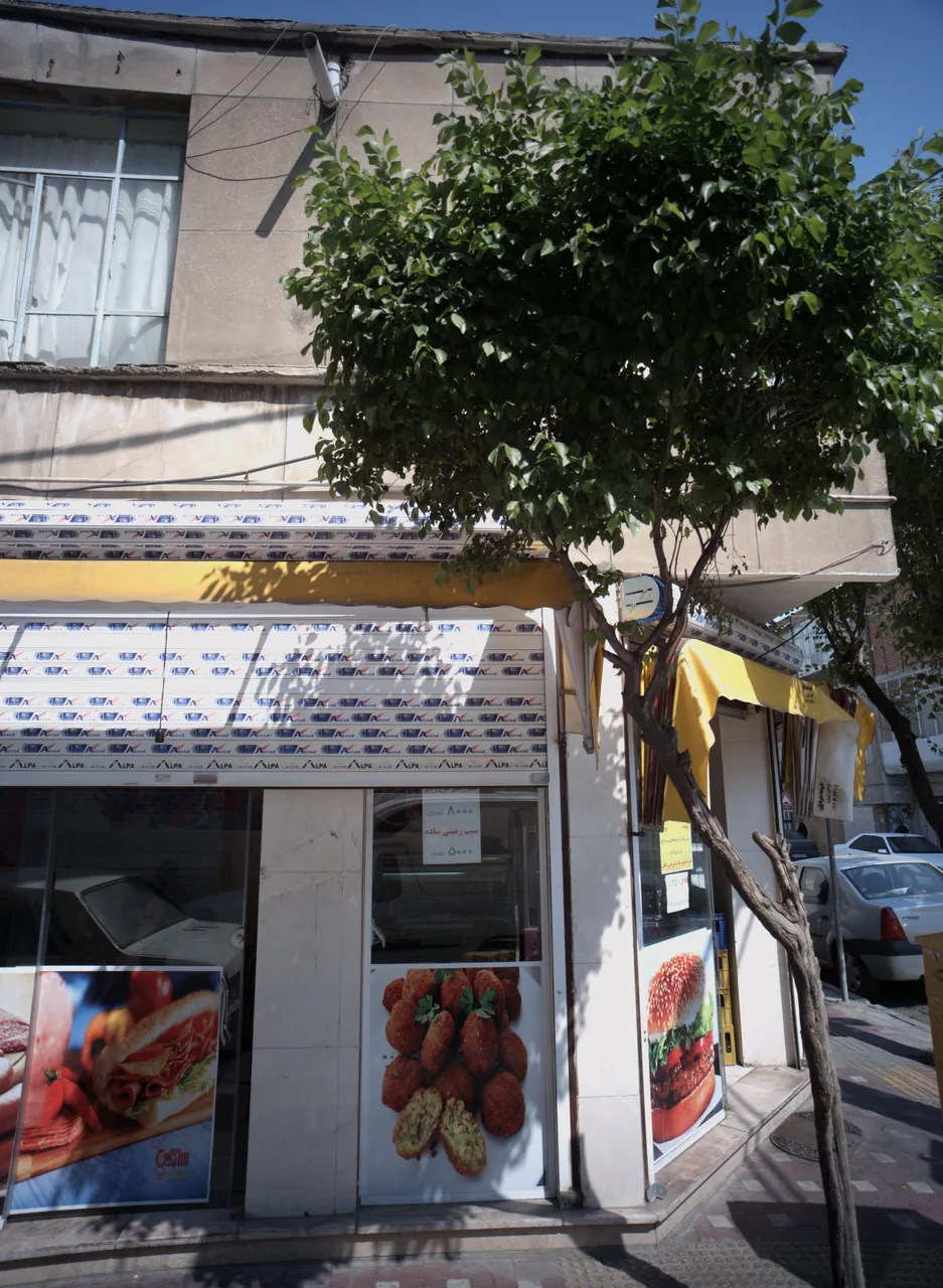 پیتزا 110