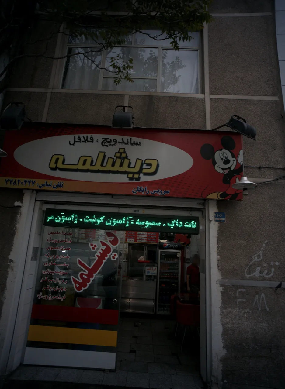 ساندویچ و فلافل دیشلمه