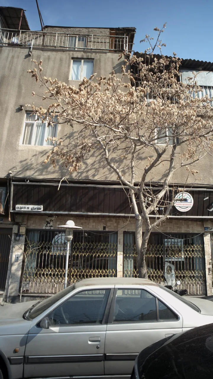 پیتزا ساندویچ آرنو برگر - تصویر 2