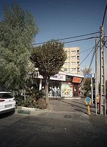 پیتزا 118