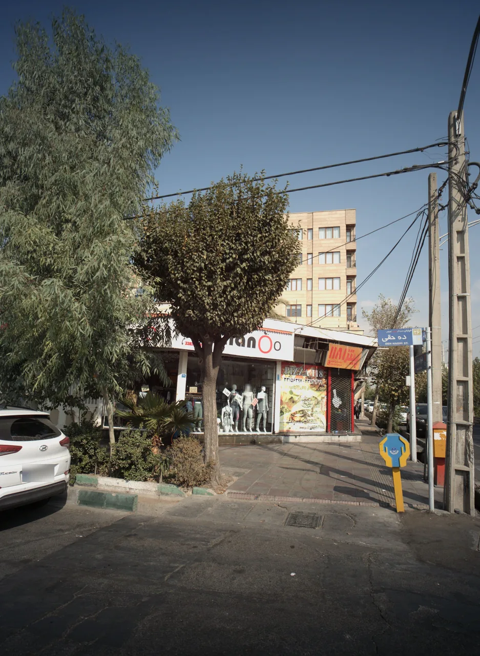 پیتزا 118