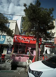 ساندویچی پلنگ صورتی