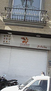 پیتزا برگر گل