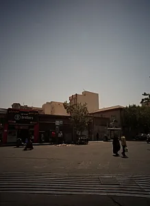 فستفود برادران