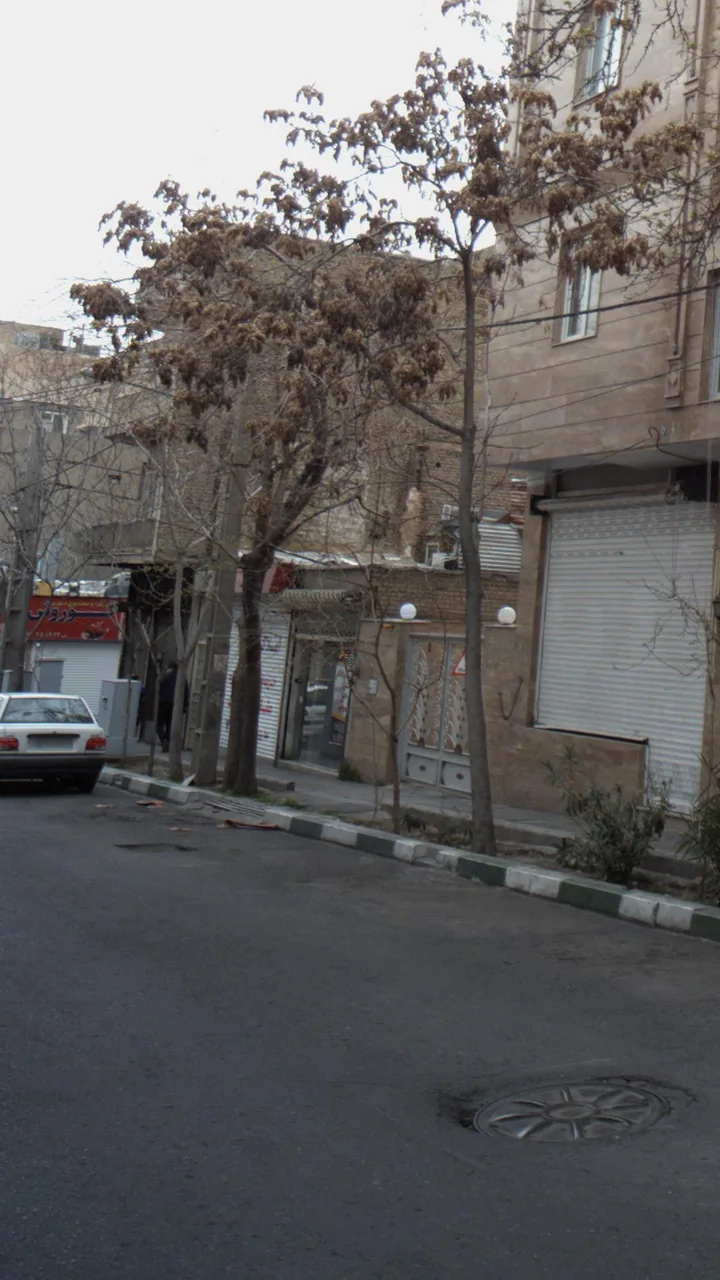 پیتزا و ساندویچ کوروش - تصویر 3