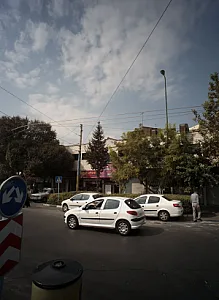 مرغ بریانی گل یاس