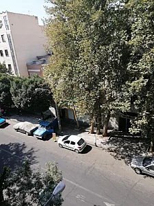 فلافل کیلویی میخکوب