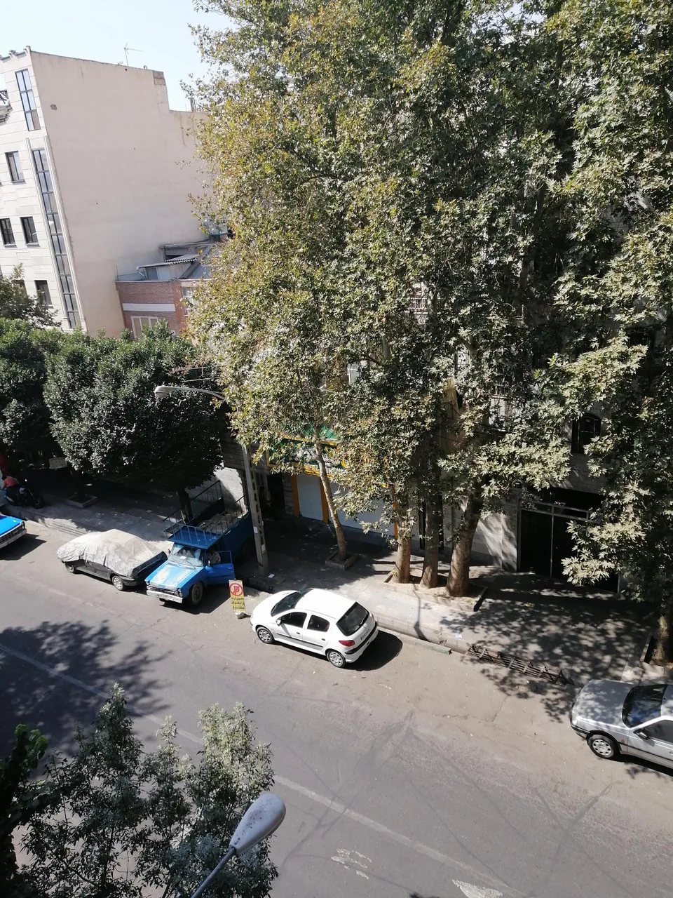 فلافل کیلویی میخکوب