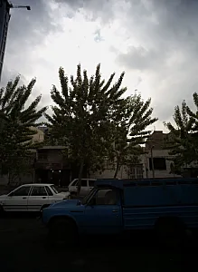 پیتزا ساندویچ شقایق
