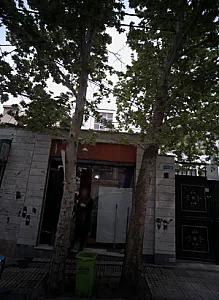 ساندویچ صدف