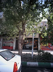 فلافلی بهرام