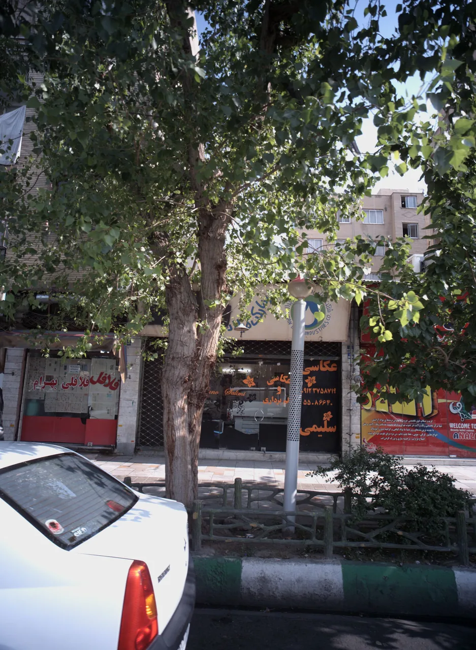 فلافلی بهرام