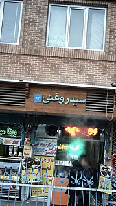 سید روغنی