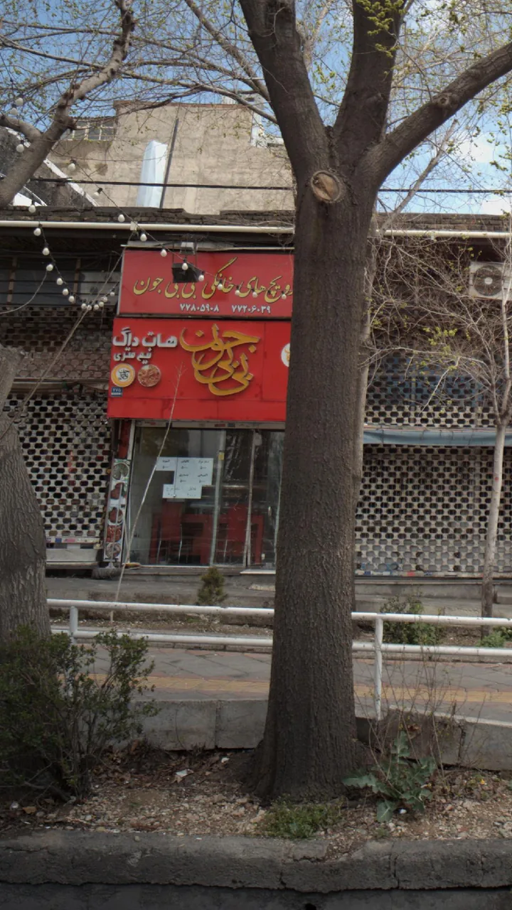 ساندویچ های خانگی بی بی جون
