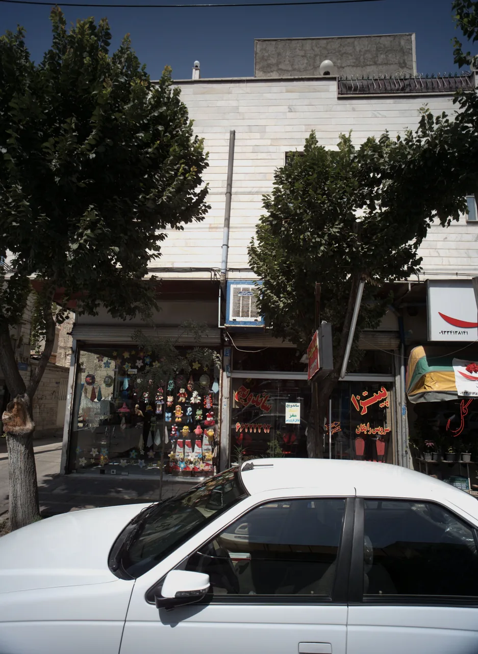 پیتزا و ساندویچ