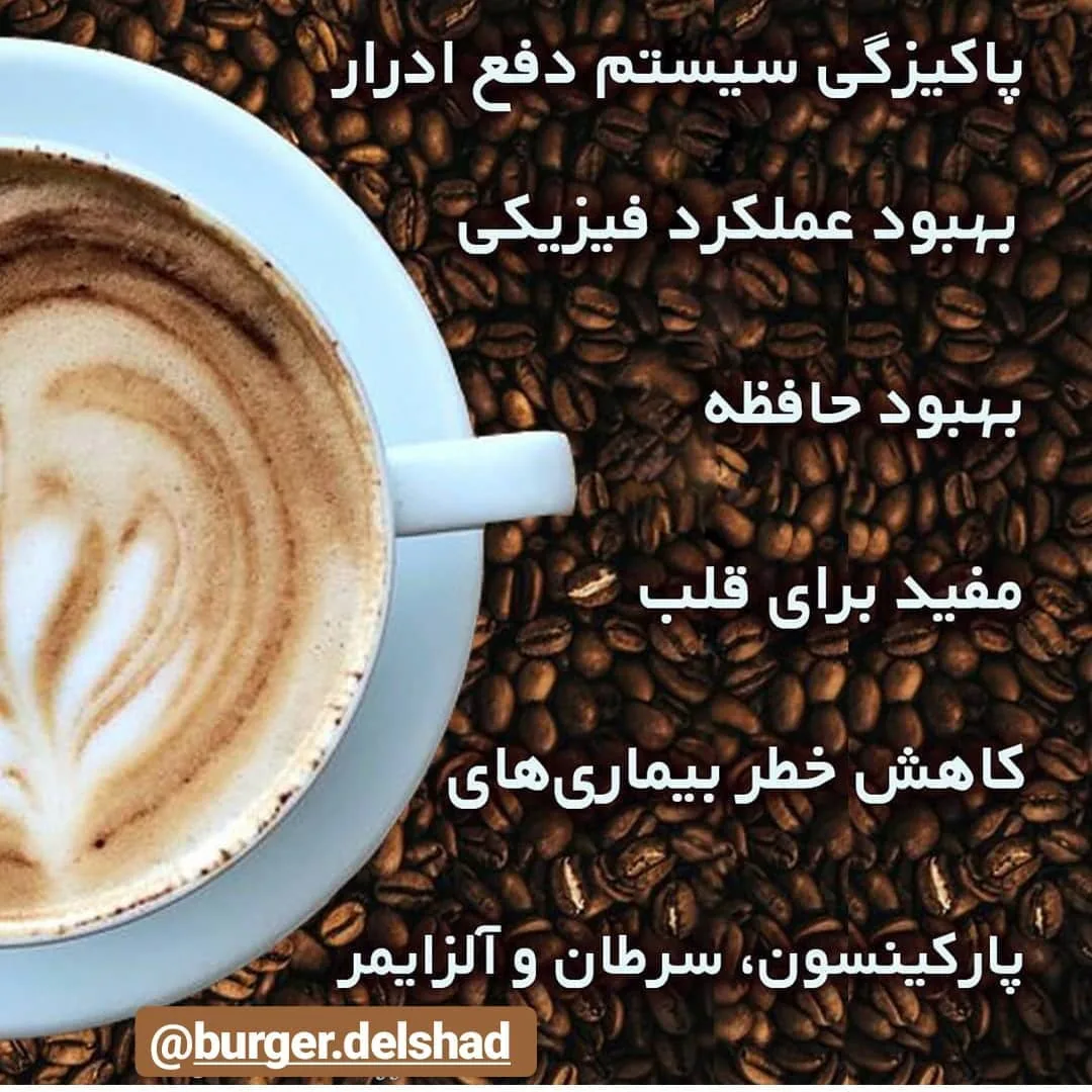 برگر دلشاد - تصویر 3