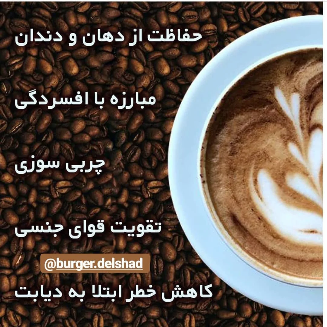 برگر دلشاد - تصویر 4