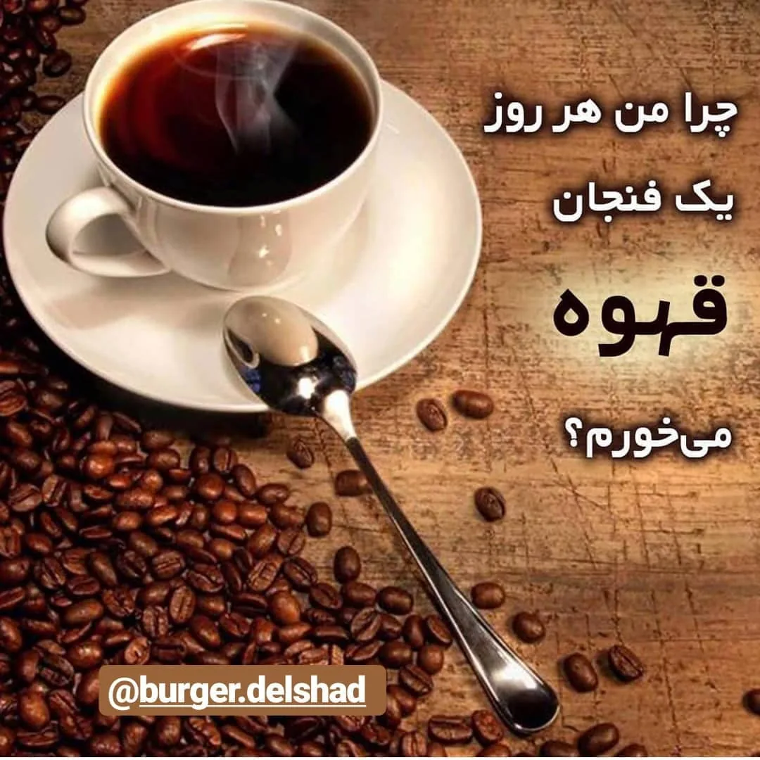 برگر دلشاد - تصویر 5