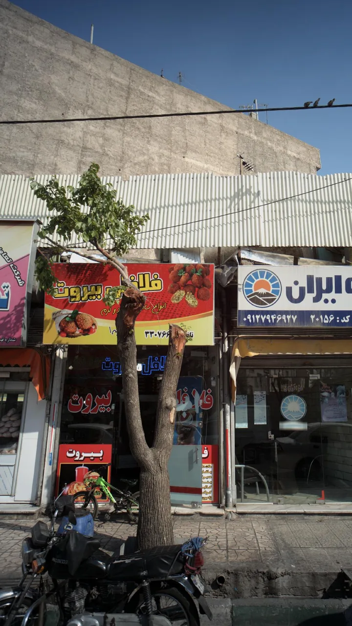 فلافل بیروت - تصویر 3