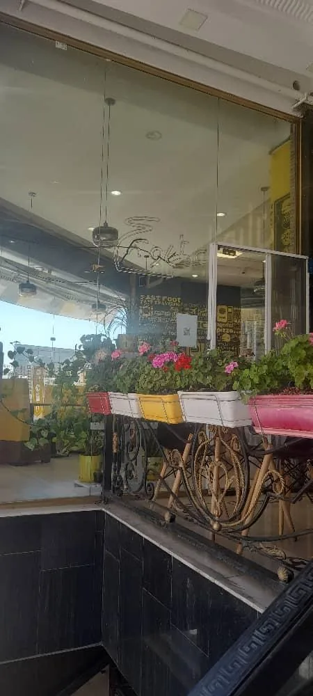 عطاویچ سوهانک - تصویر 5